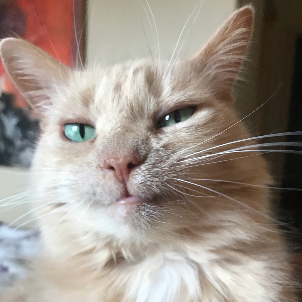 Meet your Posher, Kylin